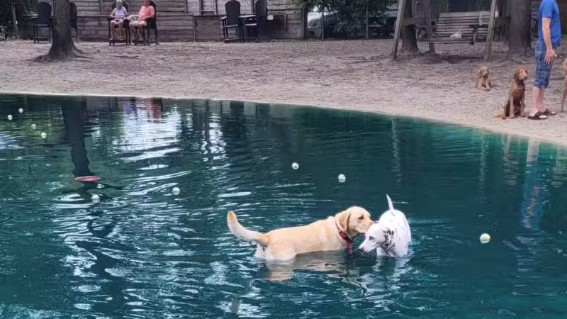 Poochie's Park - Orange Park, FL