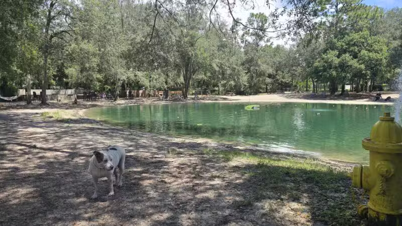 Poochie's Park - Orange Park, FL