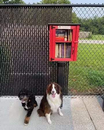 Jake & Cooper's Bark Park (Membership Required) - Oregon,