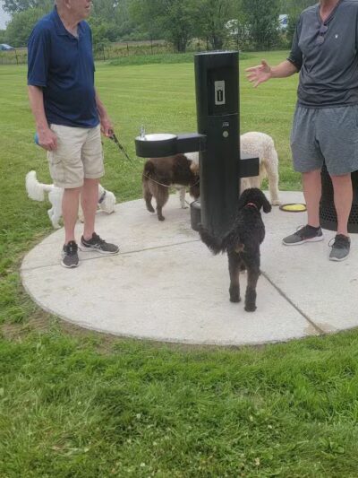 Jake & Cooper's Bark Park (Membership Required) - Oregon,