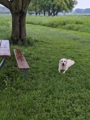 Jon Blanchard Dog Park - Oregon, WI
