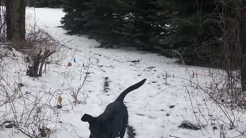 Jesse Decker Park - Orion Township,