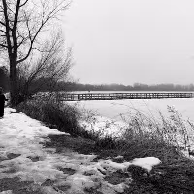 Joslyn Dog Park - Orion Township, MI