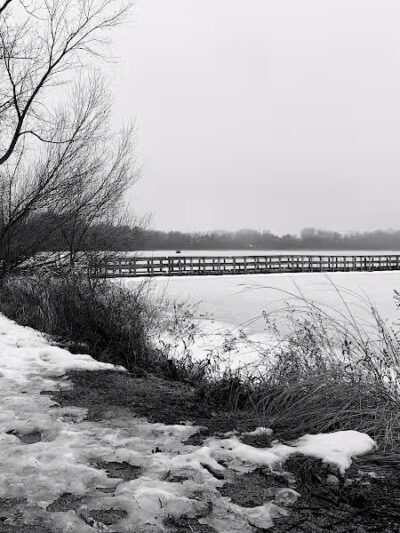 Joslyn Dog Park - Orion Township, MI