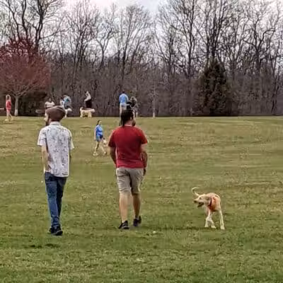 Orion Oaks Dog Park - Orion Township, MI