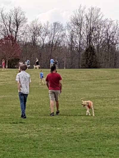 Orion Oaks Dog Park - Orion Township, MI