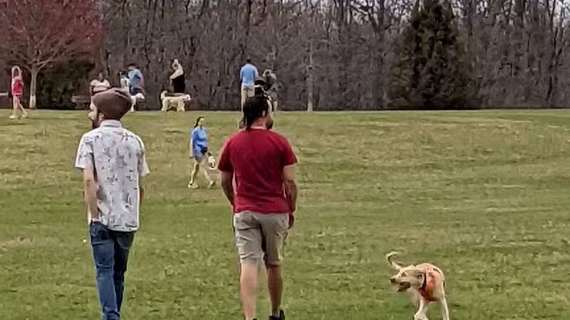 Orion Oaks Dog Park - Orion Township, MI