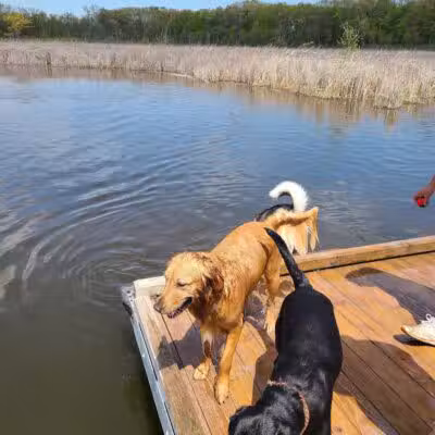 Orion Oaks Dog Park - Orion Township, MI