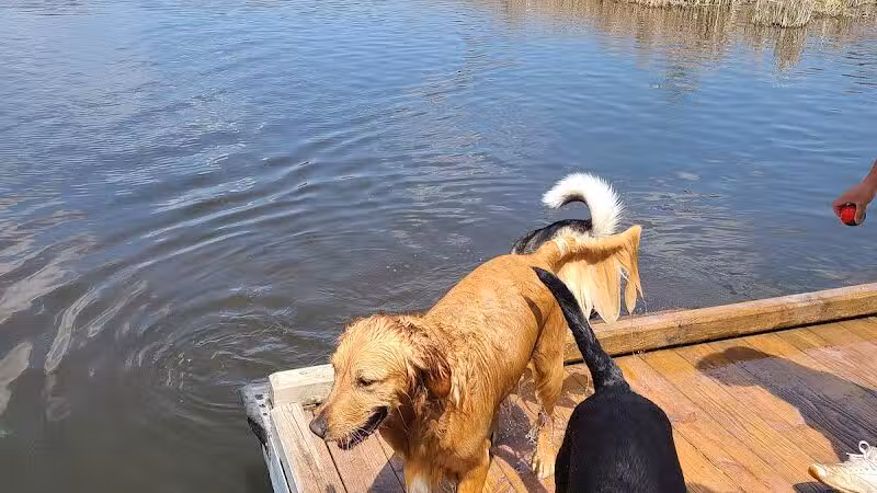 Orion Oaks Dog Park - Orion Township, MI