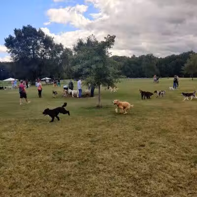 Orion Oaks Dog Park - Orion Township, MI