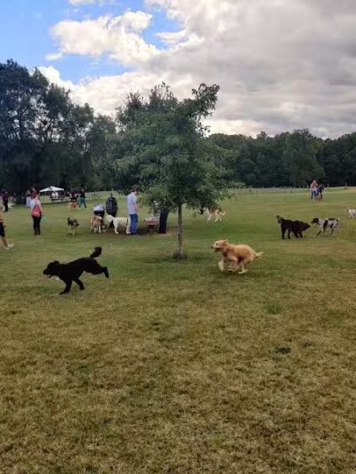 Orion Oaks Dog Park - Orion Township, MI