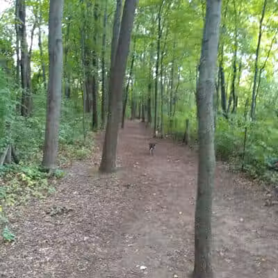 Orion Oaks Dog Park - Orion Township, MI
