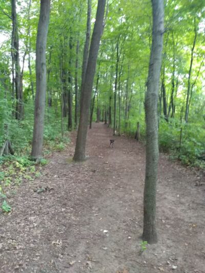 Orion Oaks Dog Park - Orion Township, MI