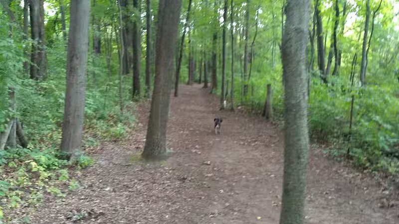 Orion Oaks Dog Park - Orion Township, MI