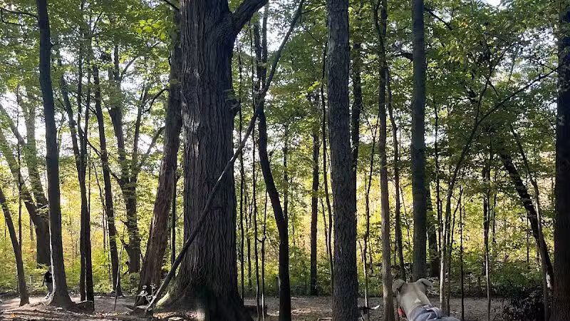 Orion Oaks Dog Park Beach - Orion Township, MI