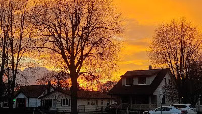 Orion Oaks Dog Park Beach - Orion Township, MI