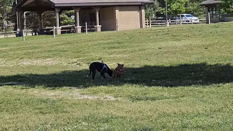 Orion Oaks Dog Park Beach - Orion Township, MI
