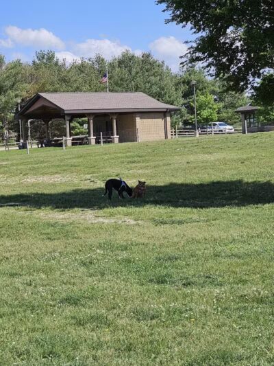 Orion Oaks Dog Park Beach - Orion Township, MI