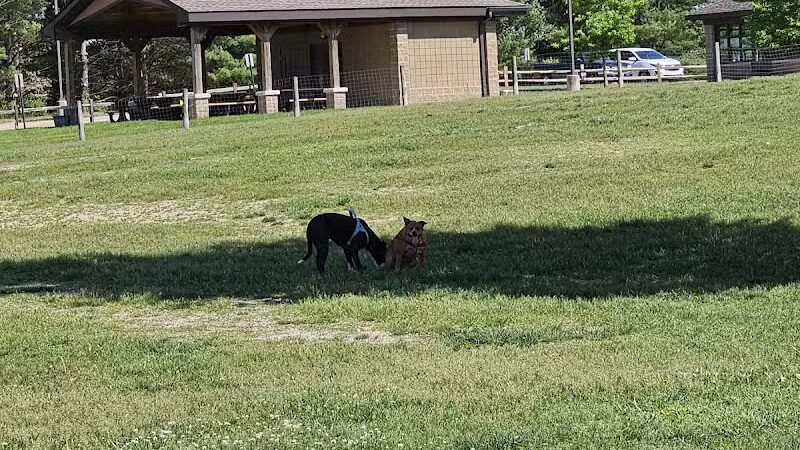 Orion Oaks Dog Park Beach - Orion Township, MI