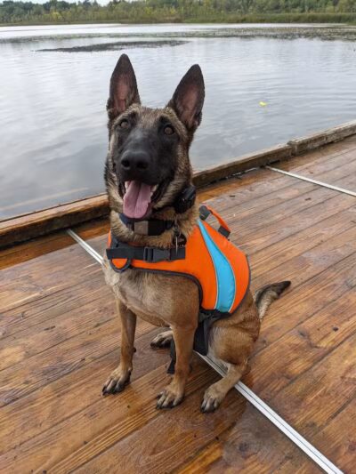 Orion Oaks Dog Park Beach - Orion Township, MI