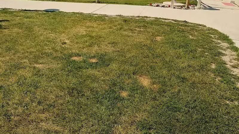 Orion Oaks Dog Park Beach - Orion Township, MI