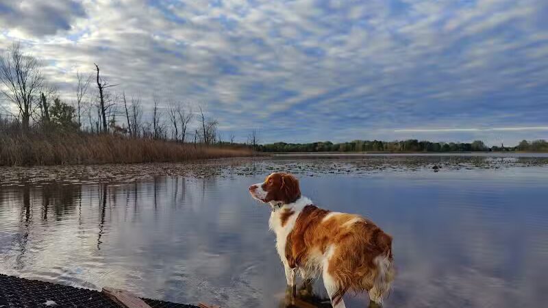 Orion Oaks Dog Park - Orion Township, MI