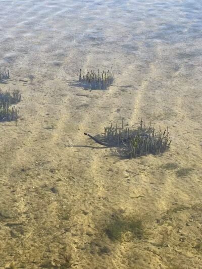Long Lake Boat Launch - Orleans,