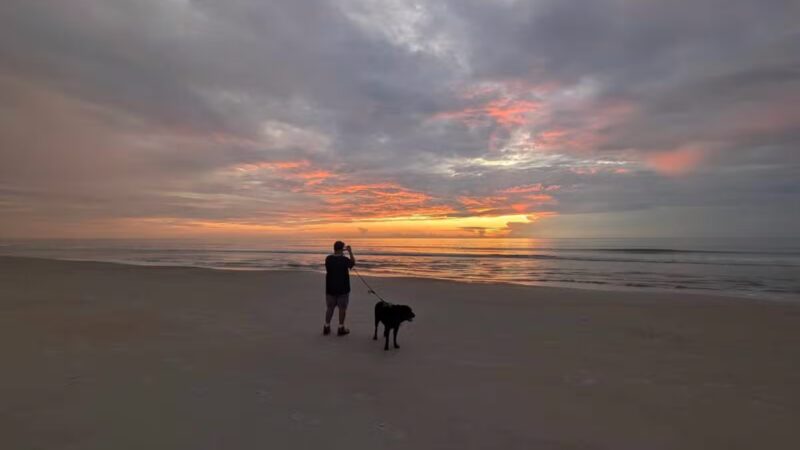 Dog-Friendly Beach Access Ormond Beach - Ormond Beach, FL
