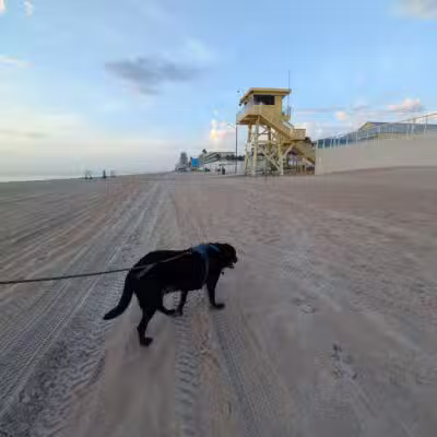 Dog-Friendly Beach Access Ormond Beach - Ormond Beach, FL