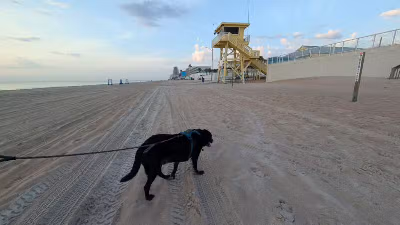 Dog-Friendly Beach Access Ormond Beach - Ormond Beach, FL
