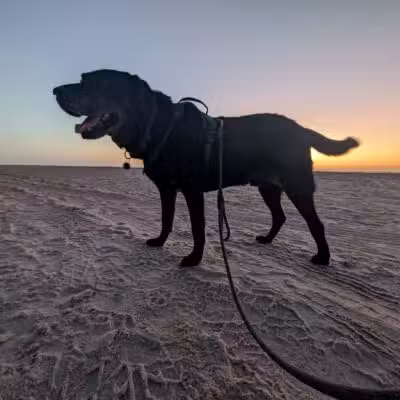 Dog-Friendly Beach Access Ormond Beach - Ormond Beach, FL