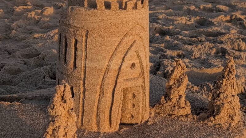 Dog Friendly Beach, Ormond Beach - Ormond Beach, FL