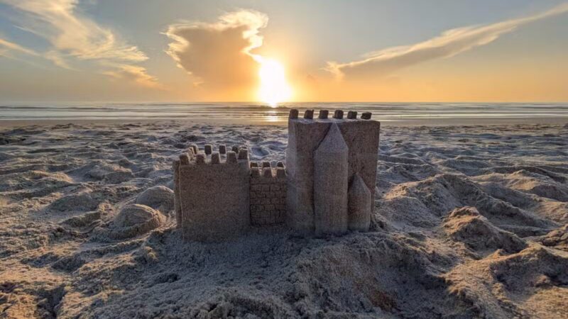 Dog Friendly Beach, Ormond Beach - Ormond Beach, FL