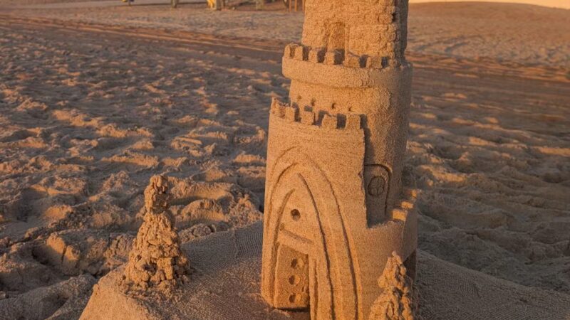 Dog Friendly Beach, Ormond Beach - Ormond Beach, FL