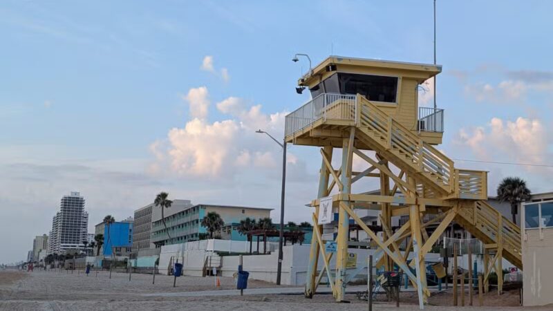 Dog Friendly Beach, Ormond Beach - Ormond Beach, FL