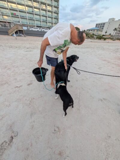 Dog Friendly Beach, Ormond Beach - Ormond Beach, FL