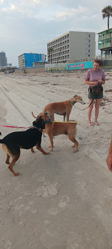 Dog-Friendly Beach Access Ormond Beach - Ormond Beach, FL