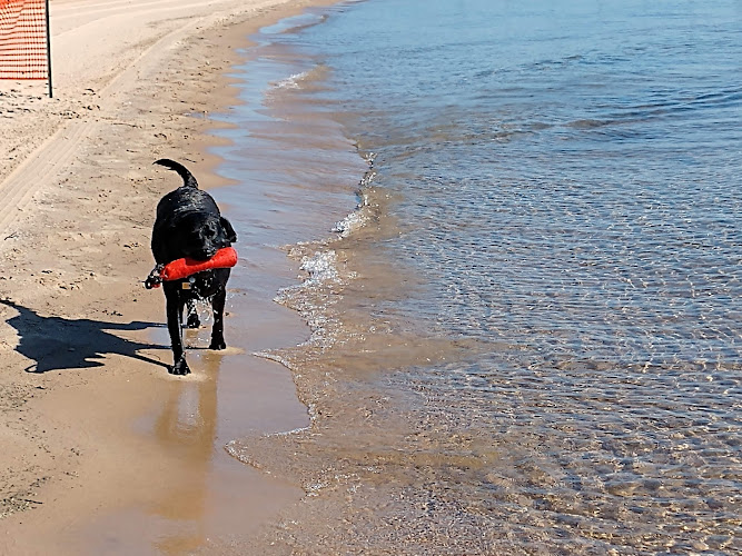 Oscoda Beach Park - Oscoda Township,