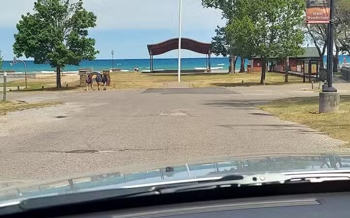 Pocket Park - Oscoda Township,