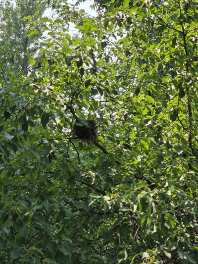 Best Friends Dog Park - Oshkosh, WI