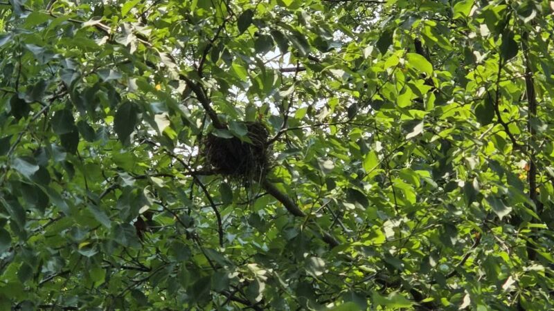 Best Friends Dog Park - Oshkosh, WI