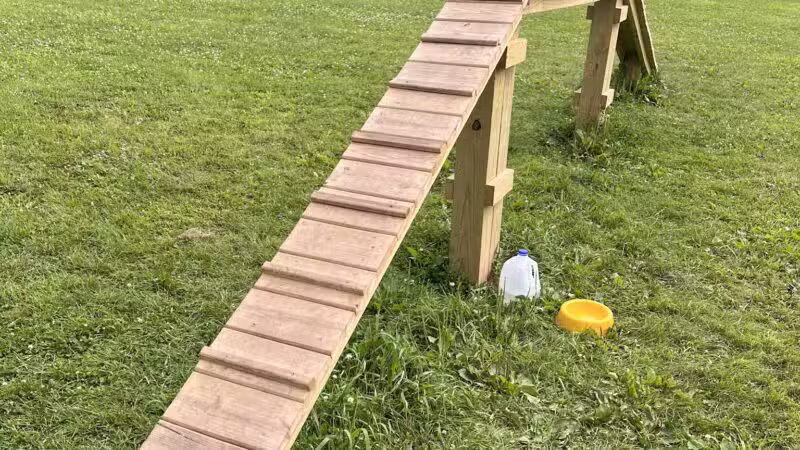 Best Friends Dog Park - Oshkosh, WI
