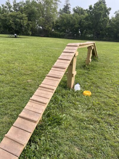 Best Friends Dog Park - Oshkosh, WI