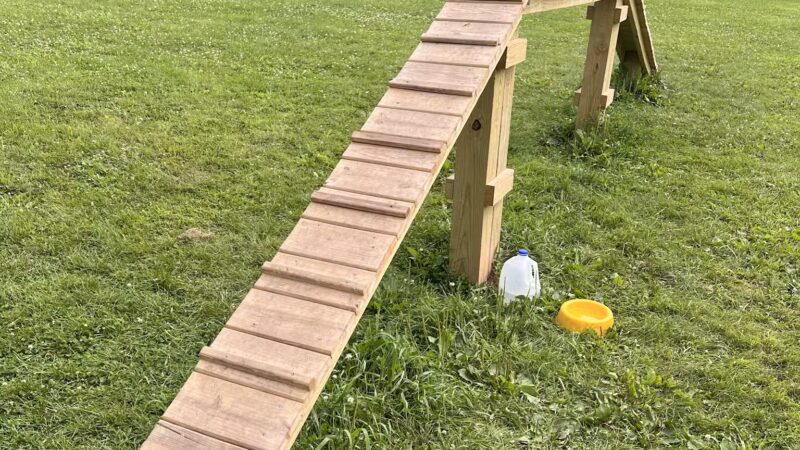 Best Friends Dog Park - Oshkosh, WI