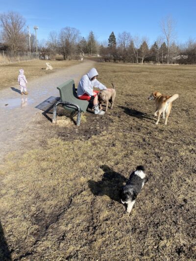 Best Friends Dog Park - Oshkosh, WI