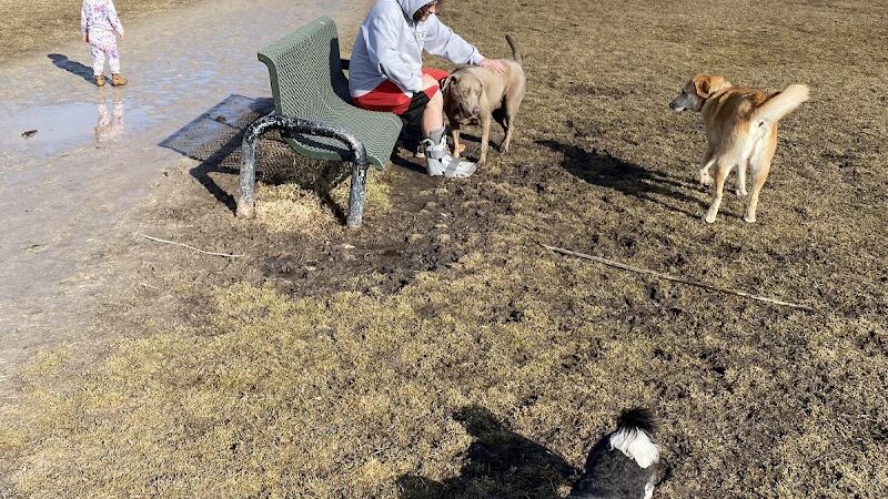 Best Friends Dog Park - Oshkosh, WI