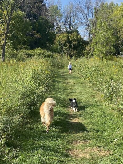 Best Friends Dog Park - Oshkosh, WI