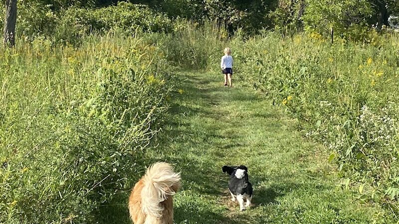 Best Friends Dog Park - Oshkosh, WI