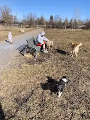 Best Friends Dog Park - Oshkosh, WI