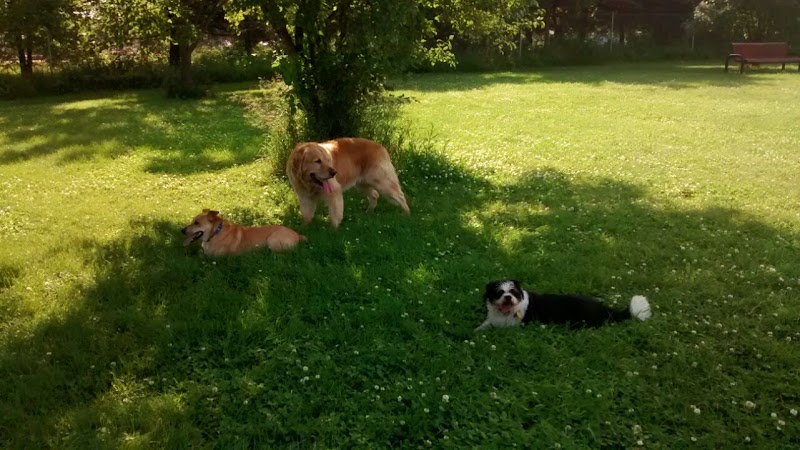 Best Friends Dog Park - Oshkosh, WI